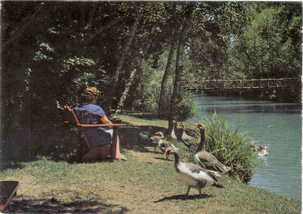 N� 3 - CURIA - Portugal - Margens do lago - Ed. Junta de Turismo da Curia - 14,7x10,4 cm. -Circ 8/1971 - Col. A. Sim�es 1005.