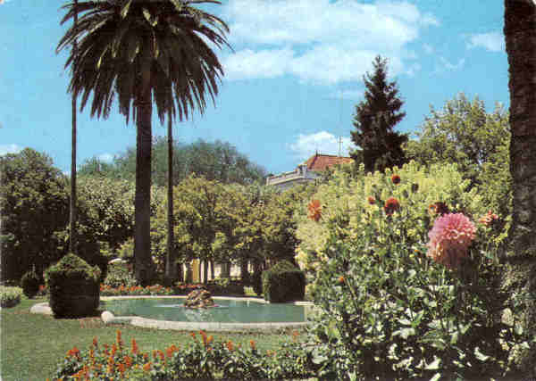 N� 8 - CURIA - Portugal - Lago dos jardins do casino - Ed. da Junta de Turismo da Curia - 14,7x10,4 cm. - Circ. 9/1967 - Col. A. Sim�es 1109.