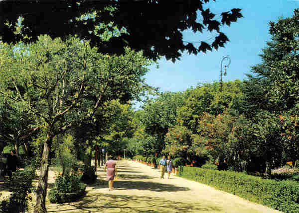 N� 19 - CURIA - Portugal - Avenida principal do parque - Ed. da Junta de Turismo da Curia - 15,0x10,6 cm. - Col. A. Sim�es 1010.