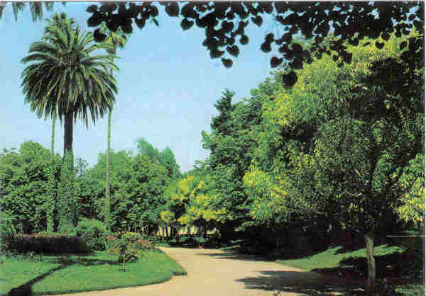 N� 19 - CURIA - Portugal - Jardins do Parque - Ed. Junta de Turismo da Curia - 14,9,x10,5 cm. - Col. A. Sim�es 1044.