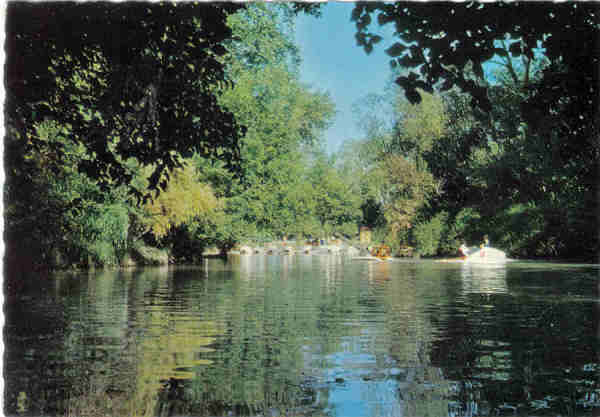 N� 551 - CURIA - Aspecto do lago - Ed. Portugal Tur�stico - 14,8x10,3 cm. - Col. A. Sim�es 1025.