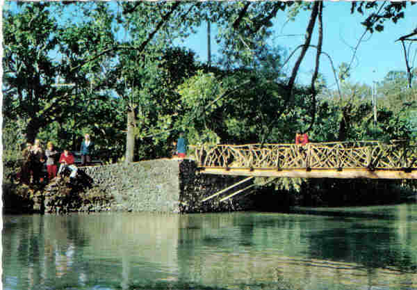 N� 552 - CURIA - Um recanto do lago - Ed. Portugal Tur�stico - 14,8x10,3 cm. - Col. A. Sim�es 1026.