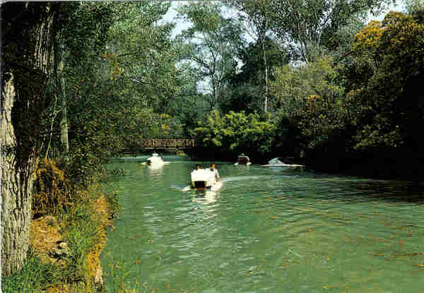 N� 852 - CURIA - Gaivotas no Lago - Ed. Centro de Caridade "N� Sr� do Perp�tuo Socorro" - 14,9x10,3 cm. - Col. A. Sim�es 1016.