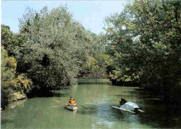 N� 1595 - CURIA - Lago - Ed. Portugal Tur�stico - 14,7x10,5 cm. - Col. A. Sim�es 1020.