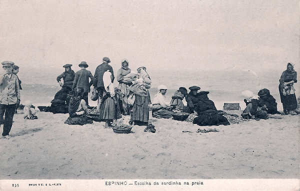 N.� 135 - Portugal. Espinho. Escolha da Sardinha na Praia - Editor Emilio Biel - Dim.  14x9 cm. - Col. M. Chaby