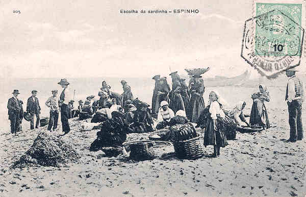 N� 205 - Portugal. Espinho. Escolha da Sardinha - Editor Emilio Biel, Porto - Dim. 14x9 cm. - Col. M. Chaby