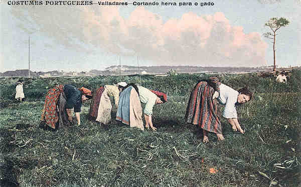 SN - Portugal Costumes Portugueses - Valadares. Cortando erva para o gado, 1917 - Editor Rodrigues, 23,Pra�a da Liberdade - Porto - Dim. 138x87 cm. - Col. M. Chaby