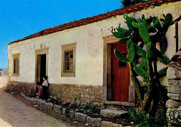 N.� 331 - ALJUSTREL Casa onde nasceram Francisco e Jacinta - Edi��o ? - S/D - Dimens�es: 14,7x10,3 cm. - Col. Manuel B�ia.