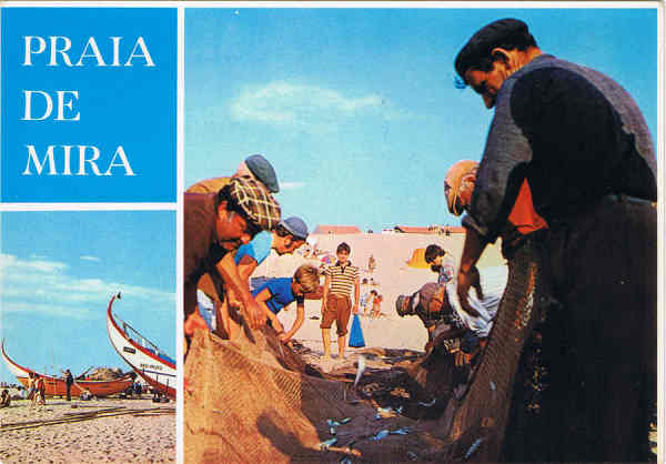 N.� 1501 - Praia de Mira - Portugal  Recolha do Peixe - Ed. SUPERCOR Portugal Tur�stico Dist. por RAN-LISBOA, RUA DA QUINTINHA 70-B - SD - Dim. 15x10,5 cm - Col. F�tima B�ia (1978).