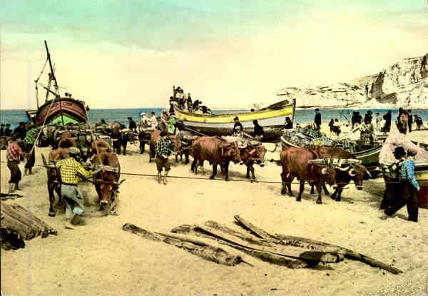 N.� 71 - NAZAR� (Portugal) Puxando barcos de pesca - Colec��o Passaporte (LOTY) - S/D - Dimens�es: 14,9x10,3 cm. - Col. HJCO (D�cada de 1950)