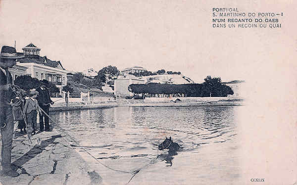 N� 1 - Portugal - S. Martinho Porto. Num recanto de caes - Editor Paulo E Guedes - Dim. 90x14 cm. (1902) - Col. M. Chaby