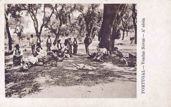 SN - VENDAS NOVAS. A sesta - Edi��o Alberto Malva, Rua da Madalena, 28 Lisboa - Dim. 13,7x8,8 cm -Col. A. Monge da Silva (cerca de 1930)