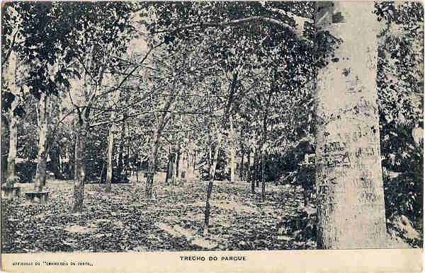 SN - VIDAGO-TRECHO DO PARQUE - Edi��o da Empreza das Aguas de Vidago, Limitada-S�DE EM LISBOA: Avenida da Liberdade, 122-126-Tel.1226 - DELEGA��O NO PORTO: Rua Candido dos Reis, 93-95 - SD -  Dim. 9x14 cm. - Impresso nas Officinas do "Commercio do Porto" - Col. Jaime da Silva (Circulado em 1923).