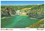 N.� ZBM-0208 ZAMBUJEIRA DO MAR Costa Alentejana PORTUGAL - Ed. GRAFIPOST - Editores e Artes Gr�ficas,Lda - tel. 214 961 155 - S/D - Dim. 15x10,5 cm - Col. Manuel B�ia (2004).