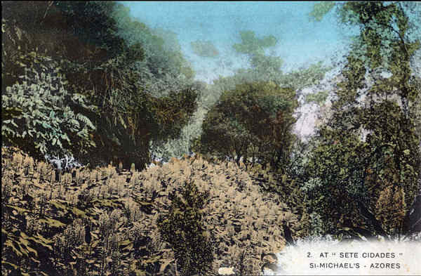 N� 2 - S�O MIGUEL. Sete Cidades - Edi��o an�nima - Dim. 14x9,8 cm - Col. A. Monge da Silva (cerca de 1910)