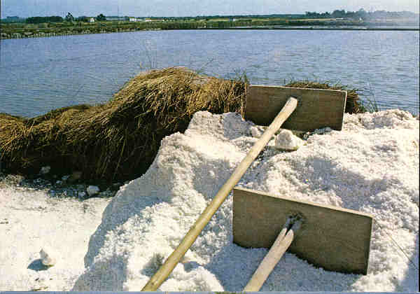 N. 04 - Alcochete. Salinas - Ed. C�mara Municipal de Alcochete - SD - Dim. 15x10,4 cm. - Col. �nio Semedo.