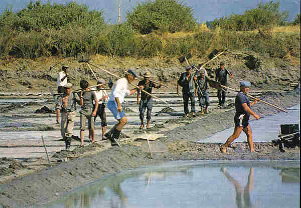 N. 10 - Alcochete. Salinas - Ed. C�mara Municipal de Alcochete - SD - Dim. 15x10,4 cm. - Col. �nio Semedo.