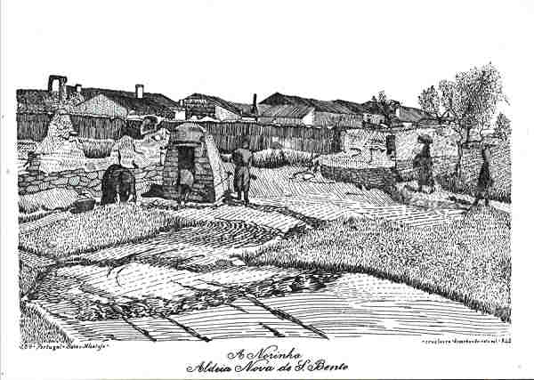 SN - ALDEIA NOVA DE S�O BENTO, A Norinha - Edi��o FRANCISCO DA CRUZ LOURO. Desenhado em 1973, - Dim. 14,8x10,5 cm - Col. A. Monge da Silva