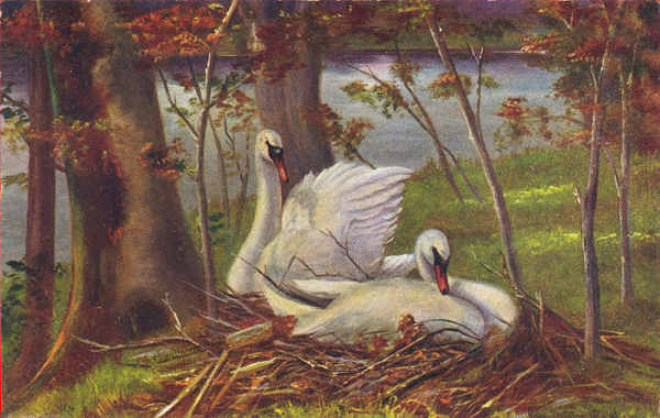 Serie 489 - Edi��o H K & Co Munique - Dim. 14x8,9 cm - Col. Am�lcar Monge da Silva (cerca de 1913)