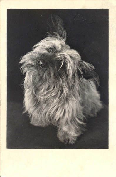 N� 6078 - Edi��o an�nima - Circulado em 1944 - Dim. 13,8x9 cm - Col. Am�lcar Monge da Silva