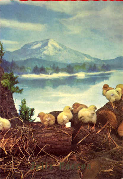 Serie 9506 - Edi��o M D, Paris - Circulado em 1967 - Dim. 14,8x10,4 cm - Col. Am�lcar Monge da Silva