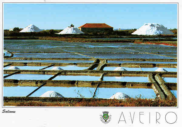 N.� 19 - AVEIRO Salinas - Ed. Artes Gr�ficas - SD - Dim. 15x10,5cm - Col. M�rio Silva.