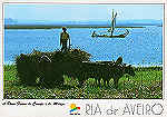 N.� 25 - RIA DE AVEIRO A Dura Faina do Campo e do Moli�o - Ed. Artes Gr�ficas - SD - Dim. 15x10,5 cm - Col. M�rio Silva.