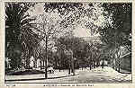 N� 24 - AVEIRO-Avenida do Governo Civil - Editor n�o indicado - SD - Dim. 13,3x8,7 cm. - Col Enio Semedo