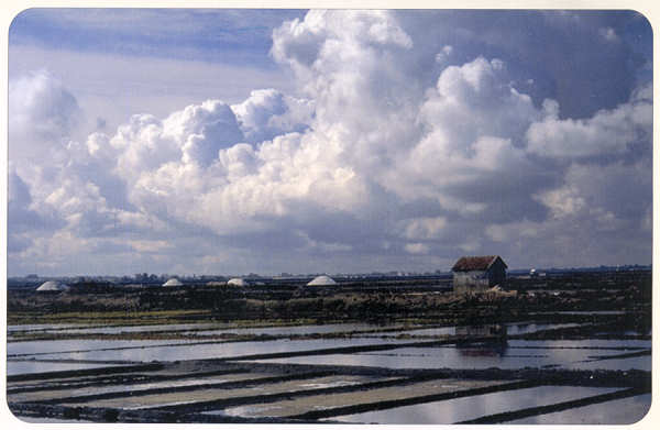 SN - Janelas do c�u - Ed. C�mara Municipal de Aveiro. Foto Manuel Gamelas - SD - Dim. 15x10 cm - Col. Gaspar Albino