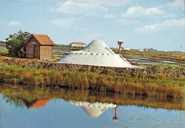 N.� 860 - AVEIRO Portugal Salinas - Edi��o do Centro de Caridade "Nossa Senhora do Perp�tuo Socorro" - S/D - Dimens�es: 14,9x10,4 cm. - Col. �nio Semedo.