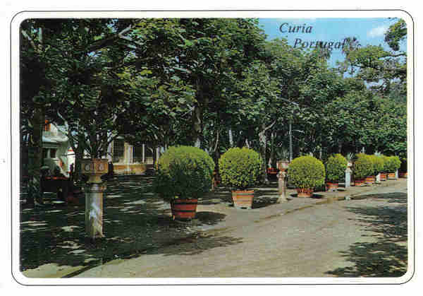 N� 1524-CURIA-Portugal-Interior do Parque-Ed ANCORA-14,8x10,4cm-Colec A SIMOES 1063