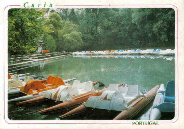 N� 4895-CURIA-Portugal-Gaivotas no Lago-Ed ANCORA-14,9x10,4cm-Colec A SIMOES 1101