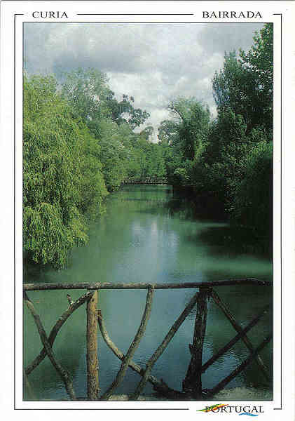 N� 42 - CURIA - PORTUGAL - BAIRRADA - Edi��o  Felicita, Lisboa - Dim. 10,5x15,0 cm. - Col. A. Sim�es 1082.