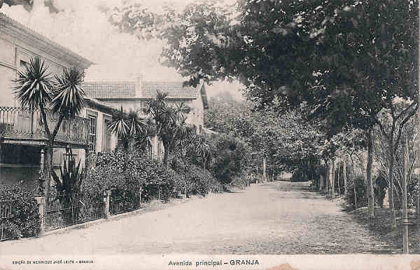 SN - Portugal. Granja (Vila Nova de Gaia). Avenida principal - Editor Henrique Jos� Leite - Dim. 9x14 cm. - Col. M. Chaby