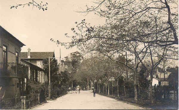SN - Portugal. Granja (Vila Nova de Gaia) - Avenida - Editor an�nimo - Dim 14x9 cm - Col. M. Chaby