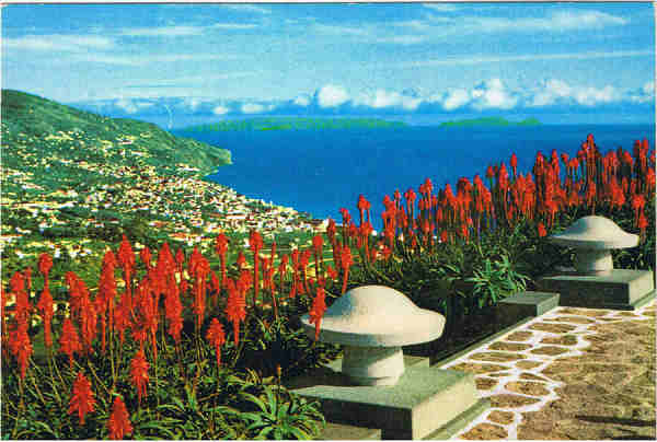 MAD 23 - FUNCHAL  (Madeira) Pico dos Barcelos - Ed. Francisco Ribeiro - Rua Nova de S. Pedro,27 telef. 23930 FUNCHAL - MADEIRA - SD - Dim. 14,7x10,2 cm. - Col. F�tima e Manuel B�ia (1975).