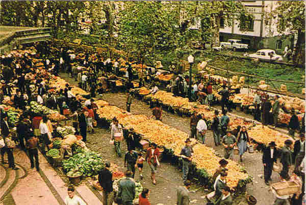 MAD 43 - FUNCHAL  (Madeira) O Mercado - Ed. Francisco Ribeiro - Rua Nova de S. Pedro,27 telef.23930 FUNCHAL - MADEIRA - SD - Dim. 14,7x10,1 cm. - Col. F�tima e Manuel B�ia (1975).