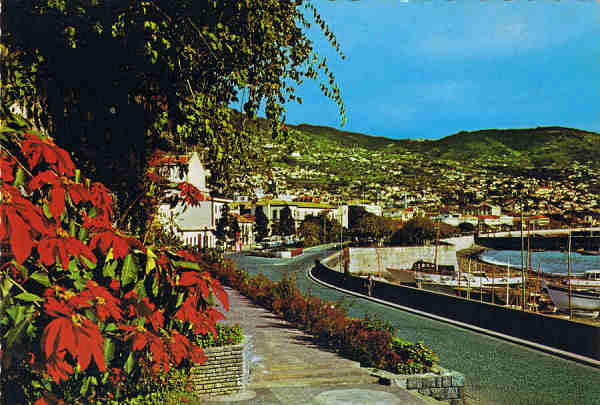 MD 117 - FUNCHAL (Madeira) Vista Leste - Ed. Hans Huber KG Agente no Funchal: F. Ribeiro, Rua Nova de S. Pedro, 27, telef. 23930 - SD - Dim. 14,8x10,4 cm. - Col. F�tima e Manuel B�ia (1975).