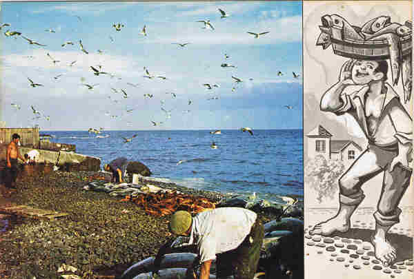 N.� 7 - FUNCHAL - Madeira  Pesca do Atum - Ed. CARV�O, MARTINS & SILVA, LDA SUCRS. FUNCHAL LITO.OF. ARTISTAS 