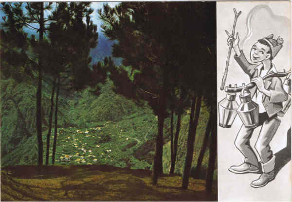 N.� 12 - MADEIRA  Curral das Freiras - Ed. CARV�O, MARTINS & SILVA,Lda Sucrs. FUNCHAL LITO OF. ARTISTAS REUNIDOS-PORTO - SD - Dim. 14,9x10,4 cm - Col. Manuel e F�tima B�ia (1975).