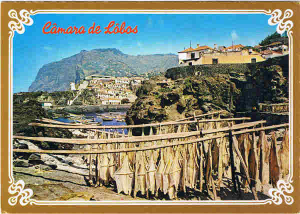 N.�112 MADEIRA Seca de Peixe - C�mara de Lobos - Ed. G�tica RUA N.S.DE F�TIMA,298 PORTO REPRESENTANTE NA MADEIRA CARV�O, MARTINS & SILVA, Lda - RUA DIREITA, 21 - FUNCHAL FABRICADO EM IT�LIA POSTAIS S�RIE LUXO-OURO - SD - Dim. 14,7x10,4 cm - Col. Manuel e F�tima B�ia (1975).