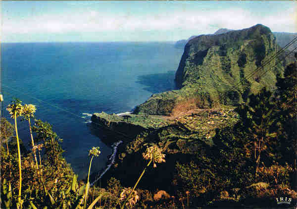 MD. 311 - PORTO DA CRUZ (Madeira) Vista da Penha d'�guia - Ed. Francisco Ribeiro - Rua Nova de S. Pedro, 27 telef. 23930 FUNCHAL, MADEIRA - SD - Dim. 14,8x10,4 cm. - Col. Manuel e F�tima B�ia (1975).