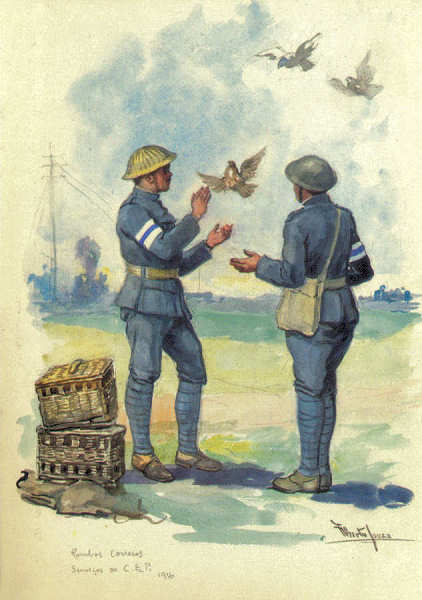 N� 24 - Pombos Correio (C.E.P.-1916) - Edi��o Museu Militar, 1990 - Dim. 14,8x10,4 cm -  Aguarela de Alberto de Sousa - Col. Am�lcar Monge da Silva