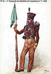 N� 9-1 - 1� Sargento do Batalh�o de Ca�adores n� 7, 1830 - Aguarela do Cor. Ribeiro Artur - Edi��o Jornal do Ex�rcito, 1983 - Dim. 15x10,5 cm - Col. A. Monge da Silva.