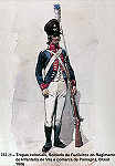 N� 232-26 - Tropas coloniais, Soldado de Fuzileiros do Regimento de Infantaria de Vila e comarca de Pamagn�, Brasil 1806 - Aguarela do Cor. Ribeiro Artur - Edi��o Jornal do Ex�rcito, 1987 - Dim. 15x10,3 cm - Col. A. Monge da Silva
