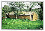 S/N -  OUR�M - PORTUGAL Ruralidades - Ed. RTL/F - 2003 - Fotografia: Quercus/Our�m - REGI�O DE TURISMO - Leiria-F�tima www.rtleiriafatima.pt . - Dim. 10,5x15 cm. - Col. Manuel B�ia (2009)