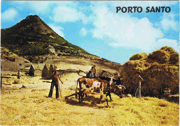 N� 524 - PORTO SANTO  Debulha do trigo e vista do Pico Castelo - Ed. BERNARDINO V.G. CARV�O APARTAMENTOS PIORNAIS-BLOCO 9-3.�A - FUNCHAL LITO OF. ARTISTAS REUNIDOS-PORTO - SD - Dim. 14,9x10,4 cm - Col. Manuel B�ia (1988).