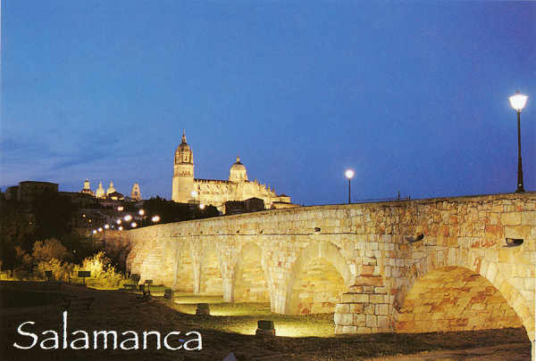 N� 163 - Salamanca. Puente Romano y Catedral Nocturna - Ed. Arribas - Dim.15x13,3 cm - Col. M�rio Silva
