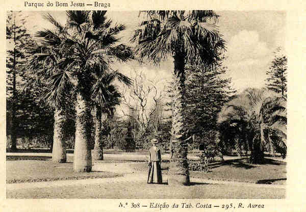 Postal 06. 1901 Colec��o Selos e Postais de Portugal. Tr�s s�culos de Hist�ria Dim. 14x9,7cm. Col. Carlos Alberto Silva Sousa.