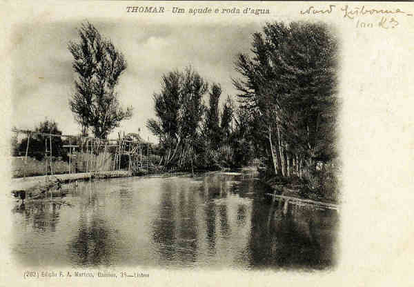 Postal 31 - 1903 Colec��o Selos e Postais de Portugal. Tr�s s�culos de Hist�ria Dim. 14x9,7cm. Col. Carlos Alberto Silva Sousa